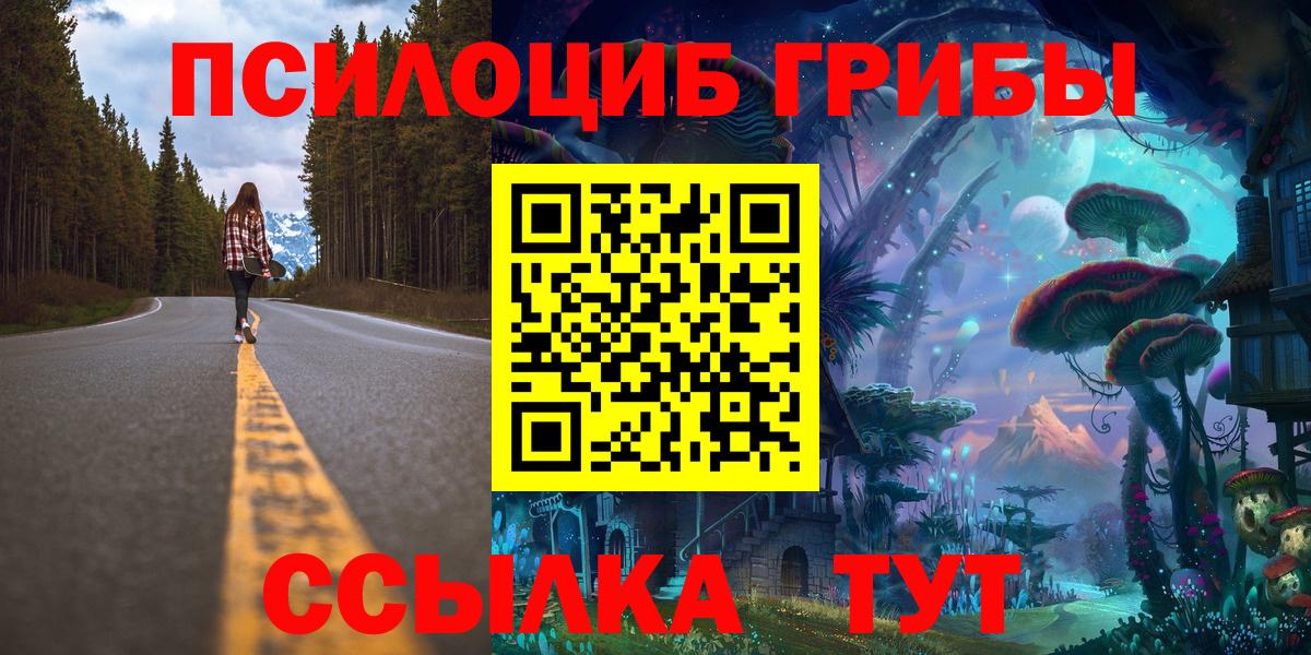 Псилоцибиновые грибы Psilocybine cubensis Кондопога