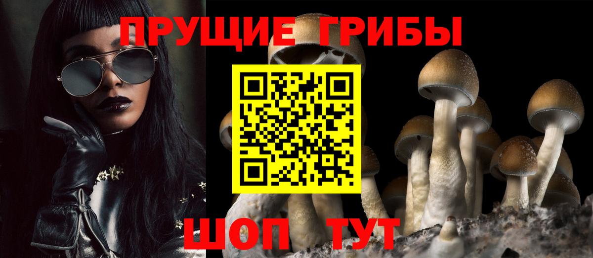 Галлюциногенные грибы ЛСД  Псилоцибиновые грибы мухоморы  Вход с VPN  Кондопога 